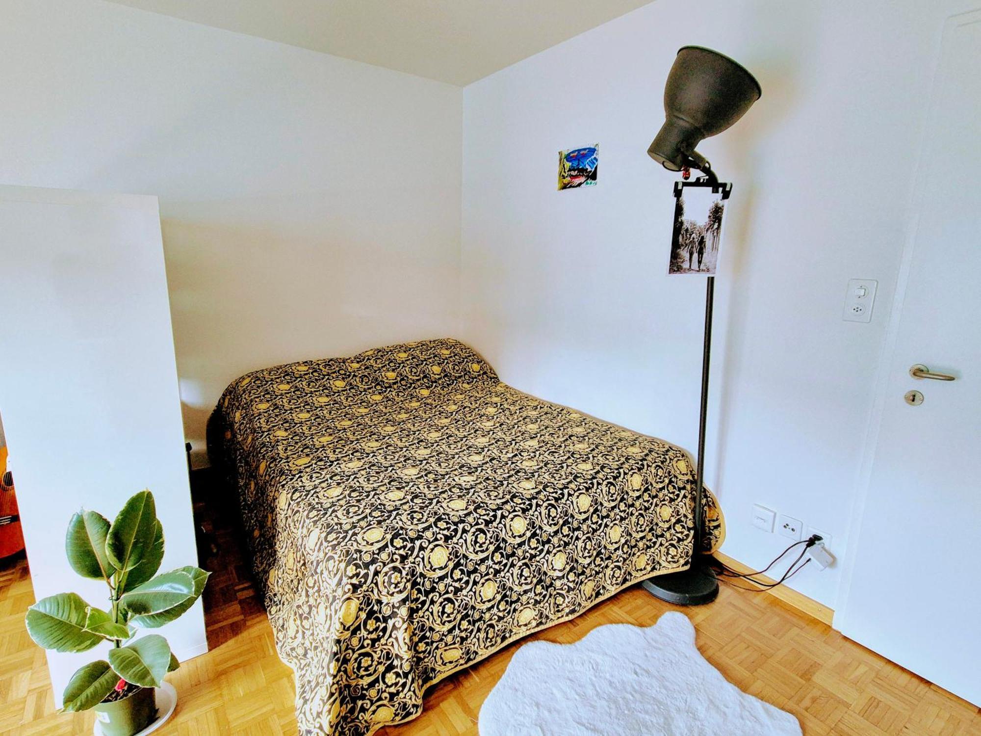 Lovely Apartment Right Next To The Opera And Zurich Lake Exterior foto